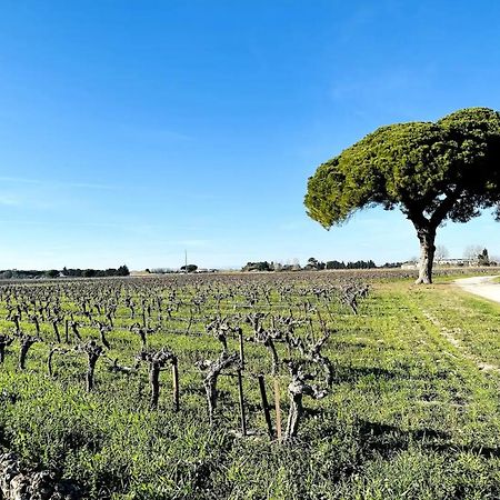 Les Appartements Du Mas - Emeraude Aigues-Mortes Dış mekan fotoğraf